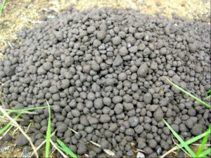 リッチミネラル2